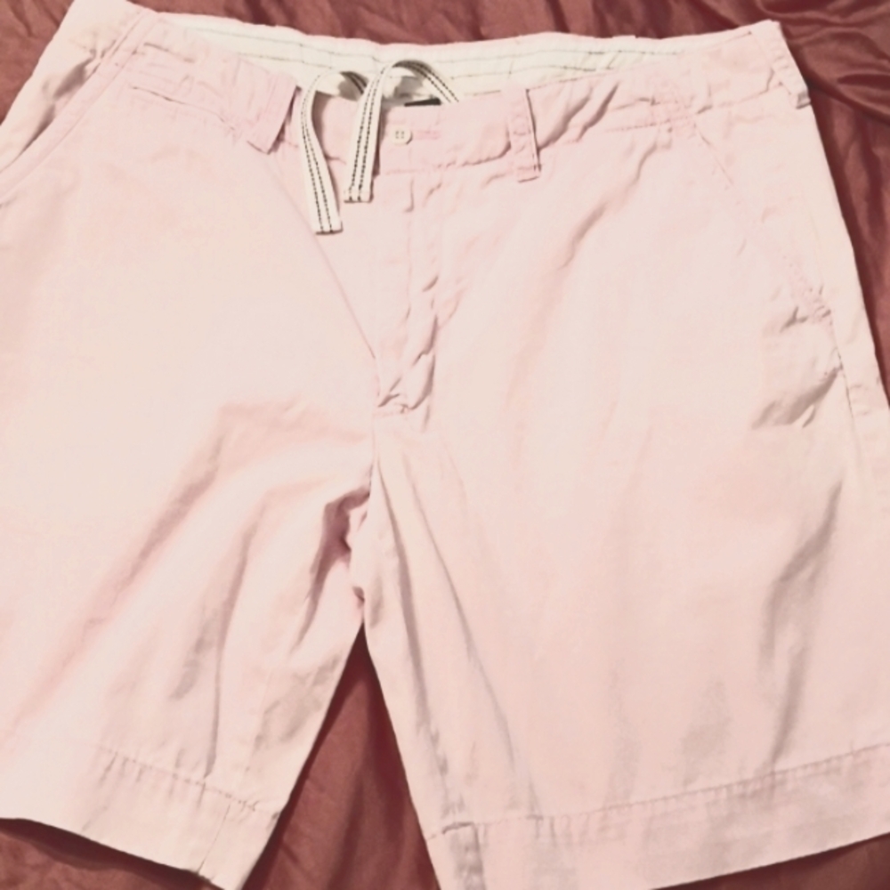 Polo Ralph Lauren Size 40 Mens Shorts in Light Pink
